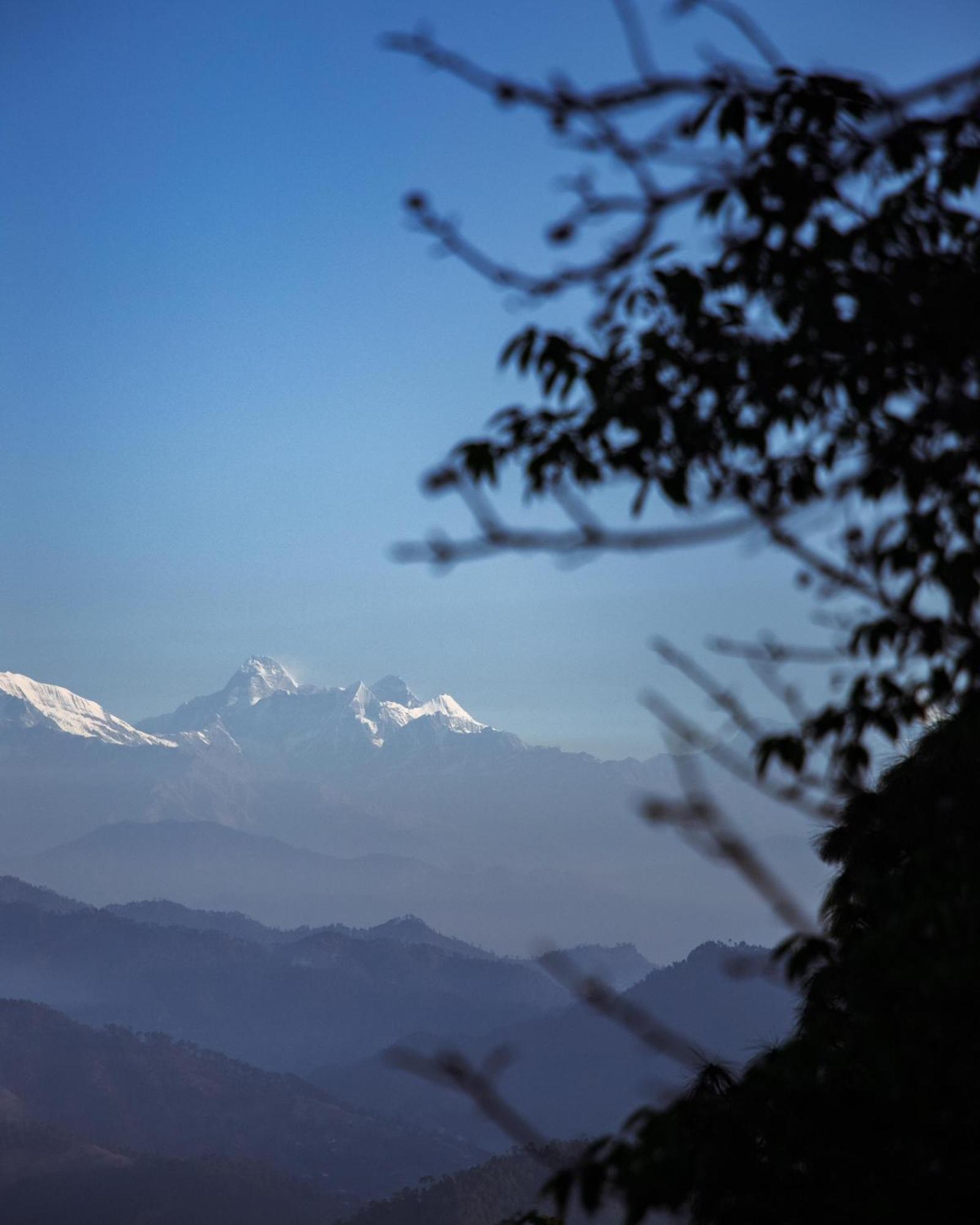 Kasar Himalaya Holiday Resort, Binsar Rd Алмора Экстерьер фото